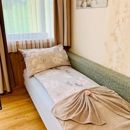 Daniel 2 Kaprun-summer Card Included Appartement